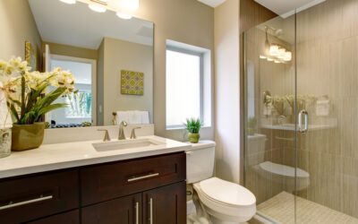 What Are the Best Glass Shower Doors for Small Bathrooms?